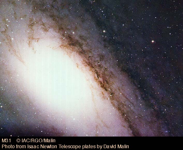 [m31dfm.jpg]