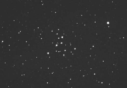 [M39, M. Oates/MAS]