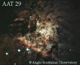 [M42 detail, AAT 29]