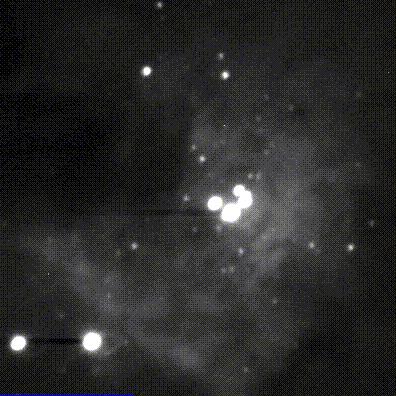 [M42 in continuum light, Bill Keel]