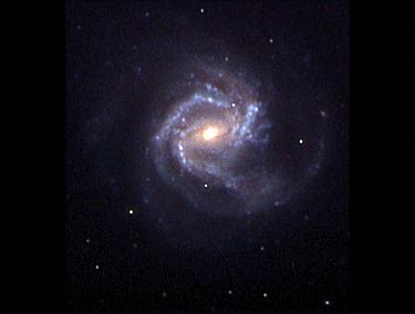 [M61, Jack Newton]