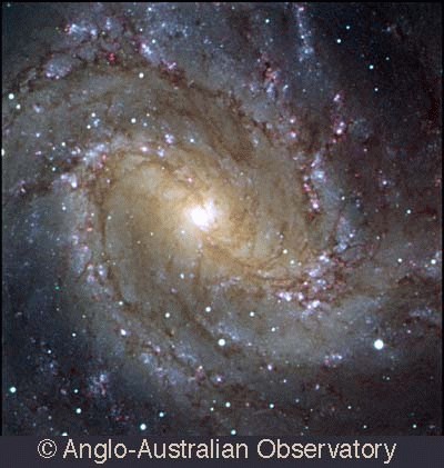 [M83 Inner Pt; AATCCD 1]