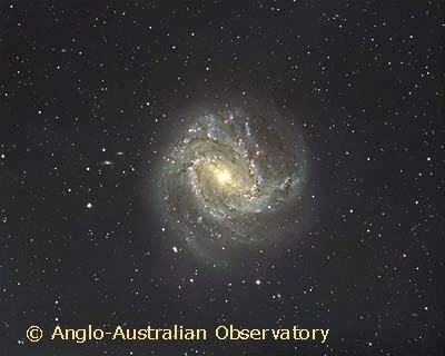 [M83 Wide Field; AAT 8a]