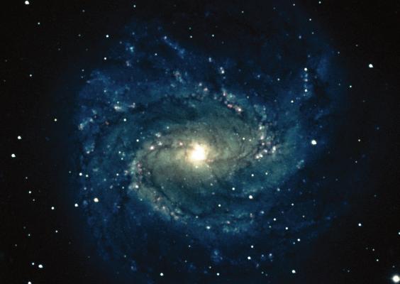 [M83, KPNO pic]