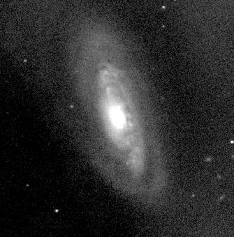 [M90, Limber Obs]
