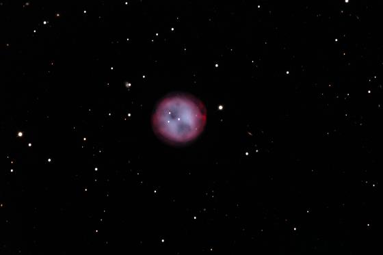 [M97, Patricia Wallace/Blythe Guvenen/AOP]