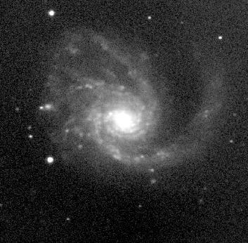 [M99, Limber Observatory]