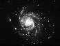 M101