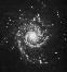 M74