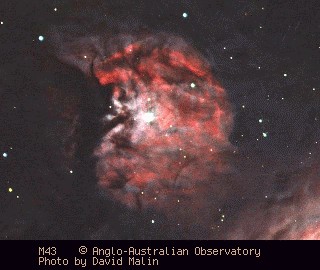 [M43 image]