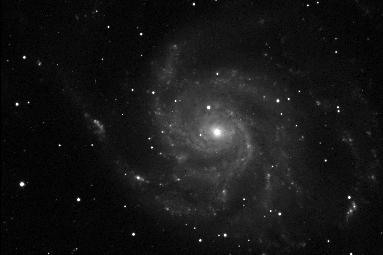 [M101, Wallis/Provin, other view]