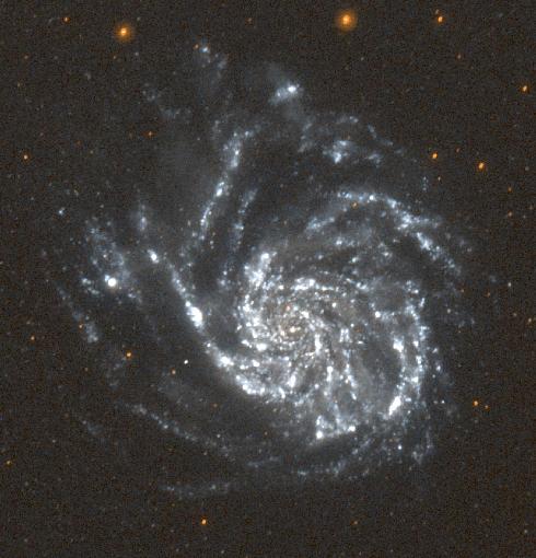 [M101, GALEX]