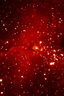 [M16, Wallis/Provin CCD]