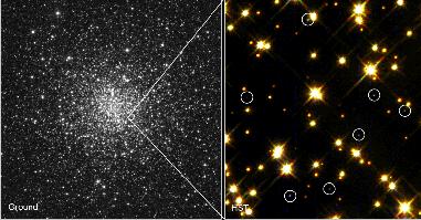 [M4 White Dwarfs, HST: M4WD]