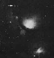 [McNeil's Nebula in M78 photo]