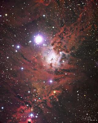 [NGC 2264 cluster, AAT]