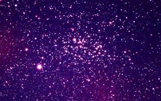 [NGC 3532 by Ray Palmer]