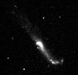 [NGC 4656, M. Purcell]